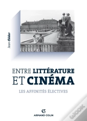 Entre Littérature Et Cinéma ; Les Affinités Électives
