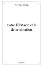 Entre L'Obstacle Et La Détermination - Preview