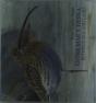 Entre Mar Y Tierra / Between Sea And Land - Preview