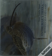 Entre Mar Y Tierra / Between Sea And Land
