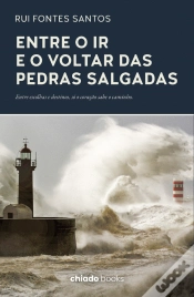 Capa do artigo Entre o Ir e o Voltar das Pedras Salgadas