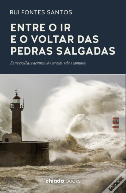 Capa do artigo Entre o Ir e o Voltar das Pedras Salgadas