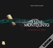 Capa do artigo Entre o Mar e Montejunto