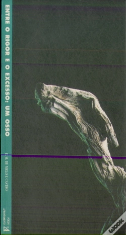 Capa do artigo Entre o Rigor e o Excesso: um Osso