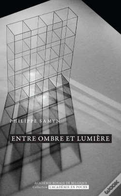 Capa do artigo Entre Ombre Et Lumière, Transparence Et Reflet