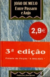 Capa do artigo Entre Pássaro e Anjo