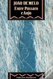 Capa do artigo Entre Pássaro E Anjo