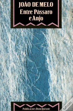Capa do artigo Entre Pássaro E Anjo