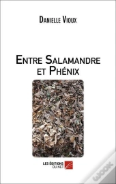 Entre Salamandre Et Phénix