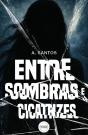 Entre Sombras e Cicatrizes - Preview