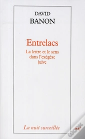 Entrelacs ; La Lettre Et Le Sens De L'Exégèse Juive
