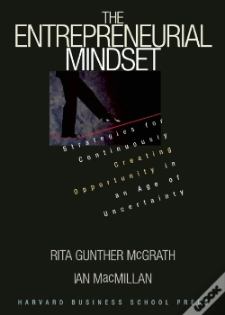 Capa do artigo Entrepreneurial Mindset