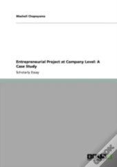 Entrepreneurial Project At Company Level