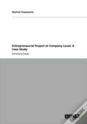 Capa do artigo Entrepreneurial Project At Company Level