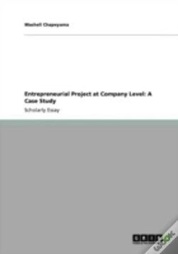 Capa do artigo Entrepreneurial Project At Company Level