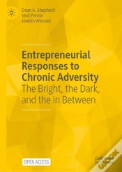 Capa do artigo Entrepreneurial Responses To Chronic Adversity