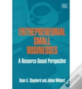 Entrepreneurial Small Businesses