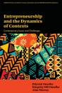 Entrepreneurship And The Dynamics Of Contexts - Preview