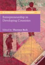 Entrepreneurship In Developing Countries