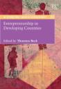 Entrepreneurship In Developing Countries - Preview