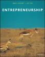 Entrepreneurship - Preview