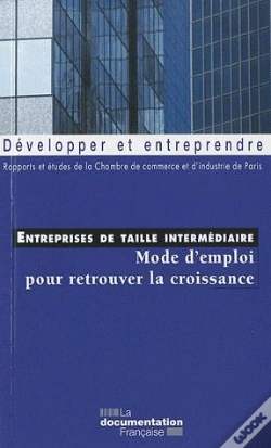 Capa do artigo Entreprises De Taille Intermédiaire ; Mode D'Emploi Pour Retrouver La Croissance