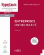 Entreprises En Difficulté (7e Édition) - Preview