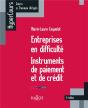 Entreprises En Difficulté ; Instruments De Paiement Et De Crédit (5e Édition) - Preview