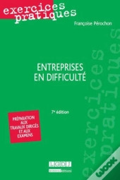 Entreprises En Difficulte,7eme Edition