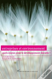 Entreprises Et Environnement ; Quels Enjeux Pour Le Dévéloppement Durable ?