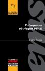 Entreprises Et Risque Pénal - Preview
