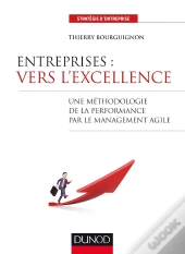 Entreprises : Vers L'Excellence ; Une Méthodologie De La Performance Par Le Management Agile