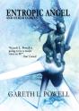 Entropic Angel - Preview