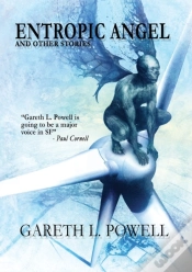 Capa do artigo Entropic Angel