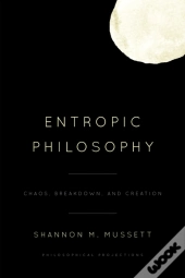Entropic Philosophy