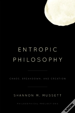 Capa do artigo Entropic Philosophy