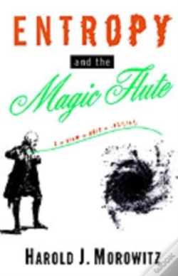 Capa do artigo Entropy And The Magic Flute