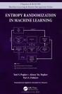 Entropy Randomization In Machine Learning - Preview