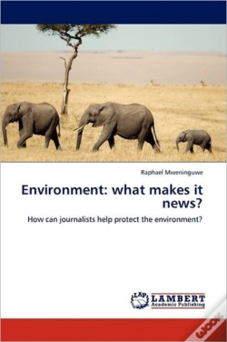 Capa do artigo Environment