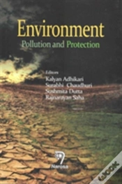 Capa do artigo Environment