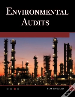 Capa do artigo Environmental Audits
