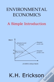 Capa do artigo Environmental Economics
