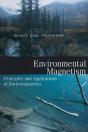 Environmental Magnetism - Preview