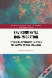 Environmental Non-Migration