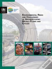 Environmental Risks And Challenges Of Anthropogenic Metals Flows And Cycles