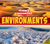 Capa do artigo Environments