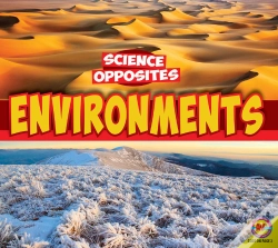Capa do artigo Environments