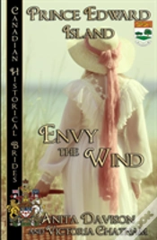 Capa do artigo Envy The Wind