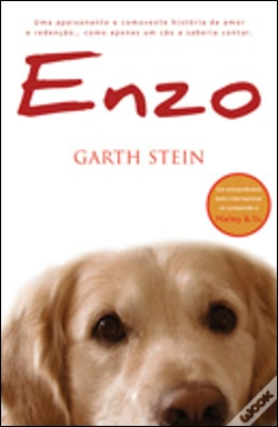 Capa do artigo Enzo