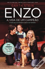 Capa do artigo Enzo